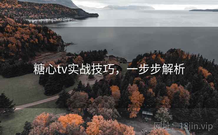 糖心tv实战技巧，一步步解析